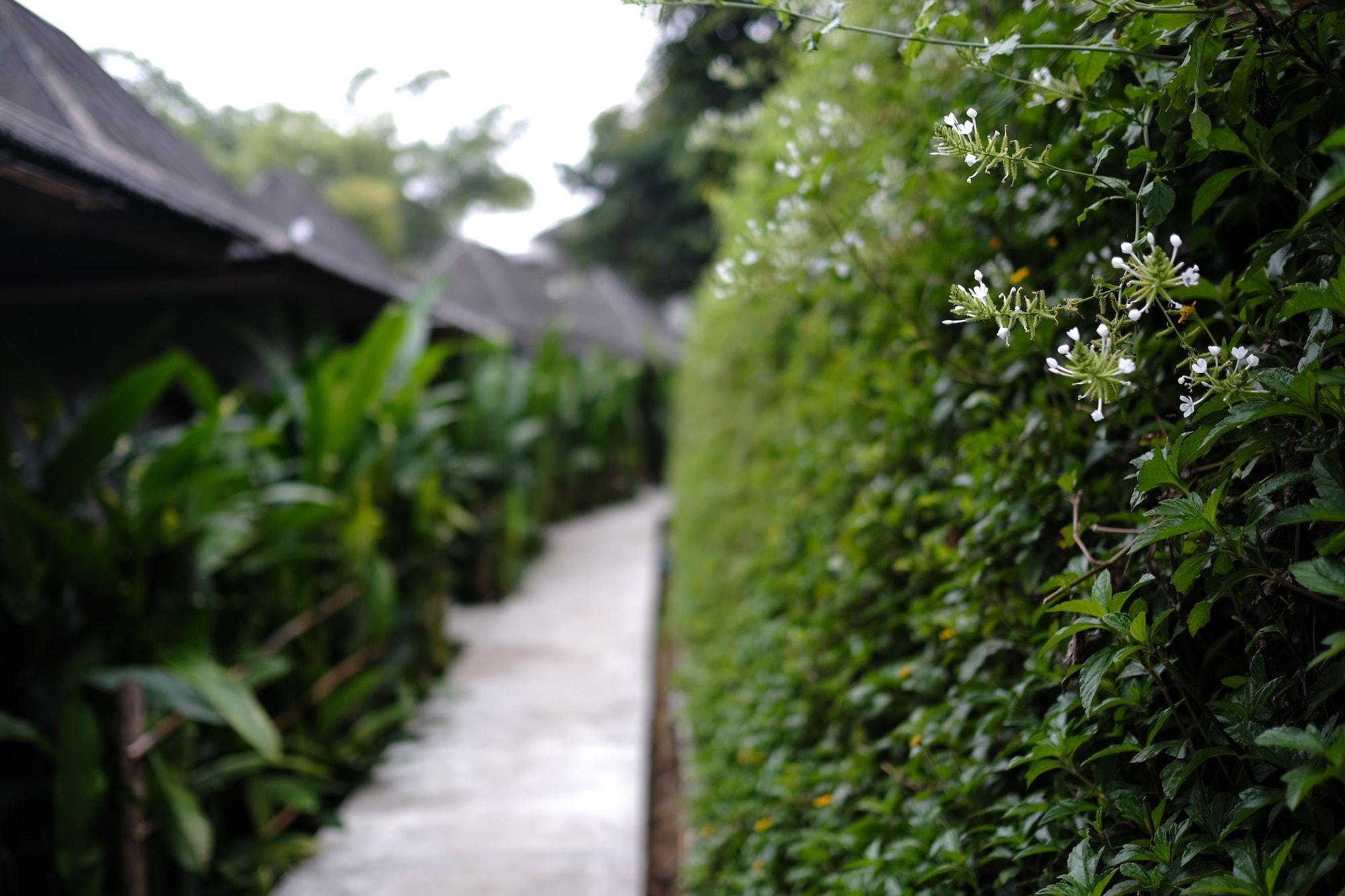 Yoma Hotel, Pai Esterno foto