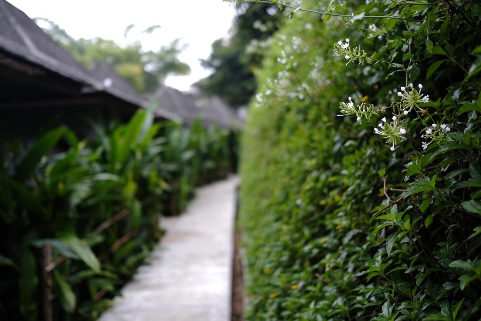 Yoma Hotel, Pai Camera foto